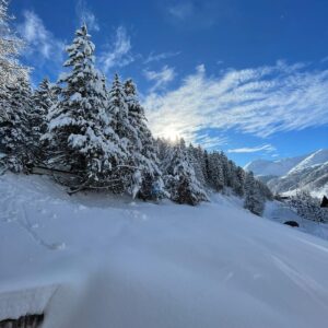 d7850949-169f-40b0-9686-9d43f1531762